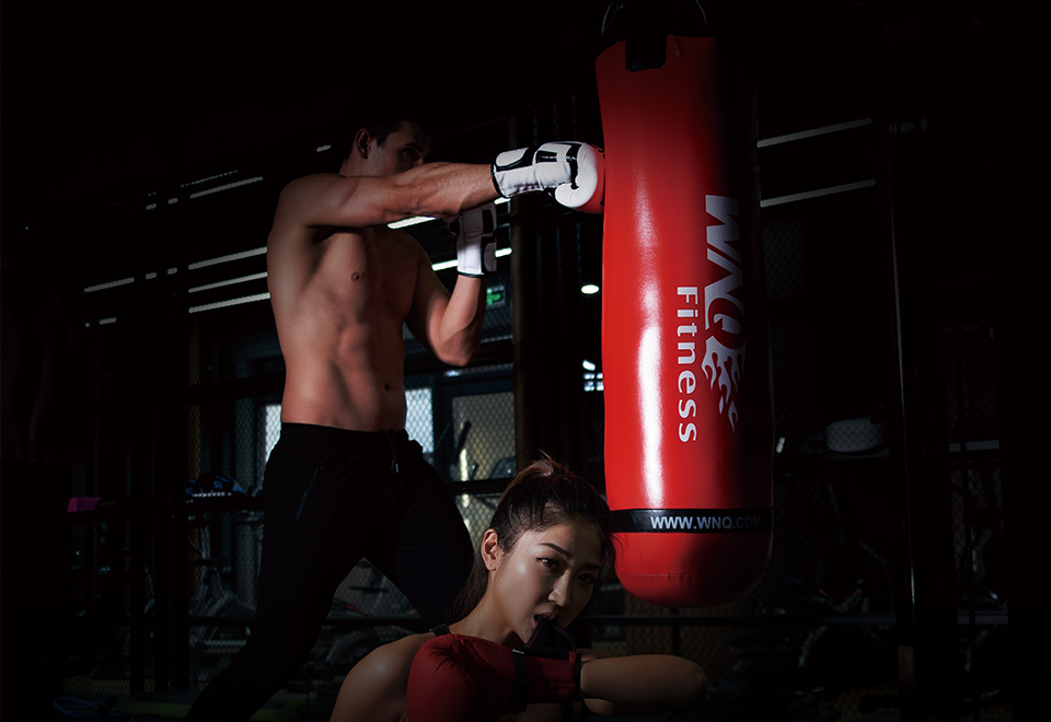 2026年国际足联世界杯 - 官方中文网站(FIFA World Cup 2026)